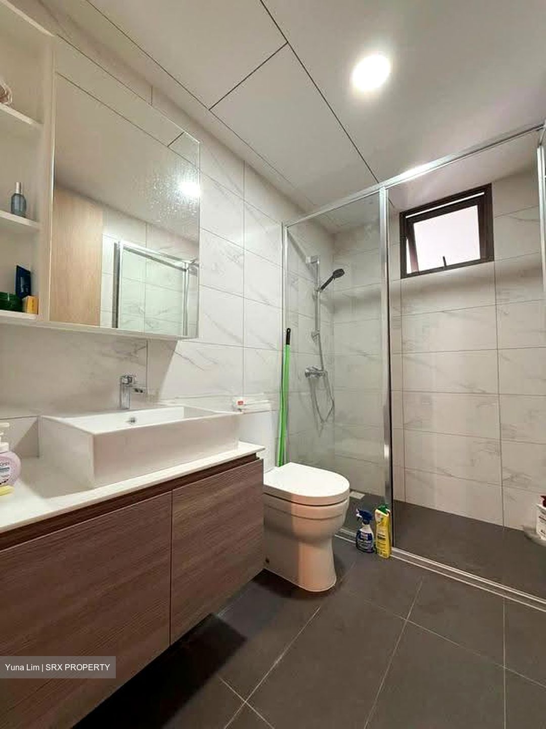 Treasure Crest (D19), Condominium #608760511